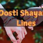 2 Line Dosti Shayari in Hindi for True Friendship